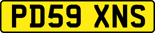 PD59XNS