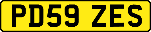 PD59ZES