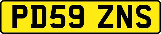 PD59ZNS