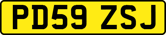 PD59ZSJ