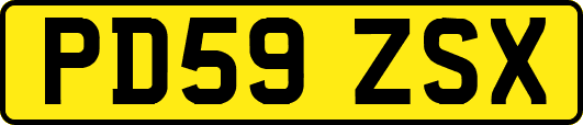 PD59ZSX