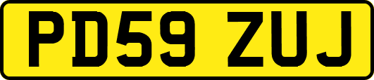 PD59ZUJ