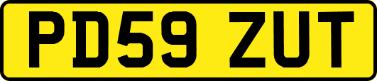 PD59ZUT