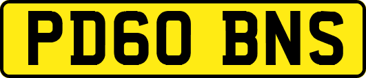 PD60BNS