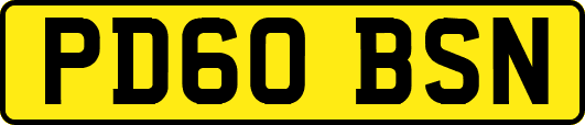PD60BSN