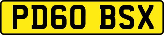 PD60BSX