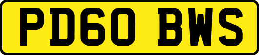PD60BWS