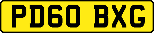 PD60BXG