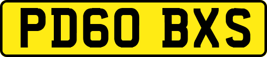 PD60BXS