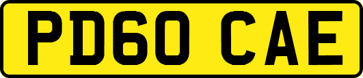 PD60CAE