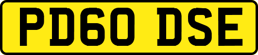 PD60DSE
