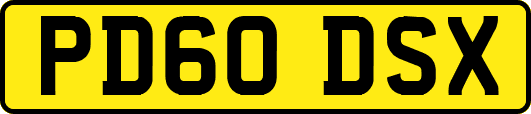 PD60DSX