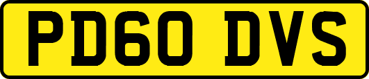 PD60DVS
