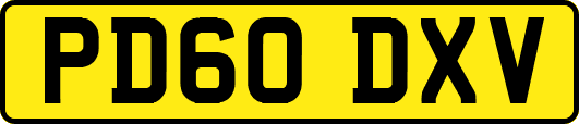 PD60DXV