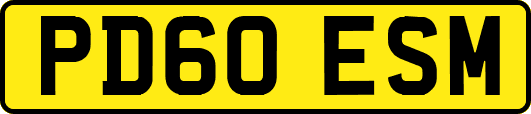 PD60ESM
