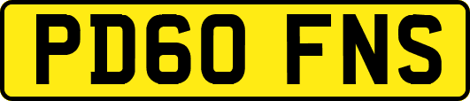 PD60FNS