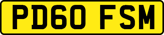 PD60FSM