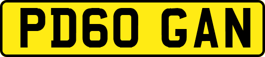 PD60GAN