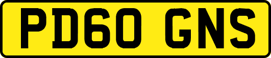 PD60GNS
