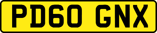 PD60GNX