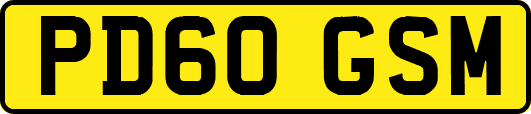 PD60GSM