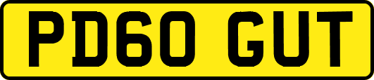 PD60GUT