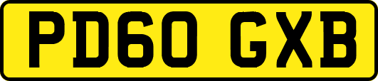 PD60GXB