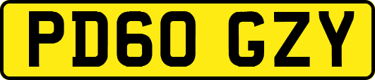PD60GZY