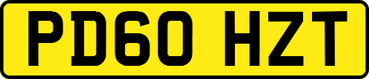 PD60HZT