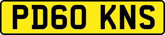 PD60KNS