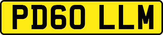 PD60LLM