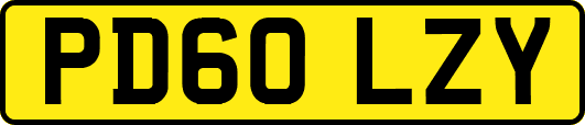 PD60LZY