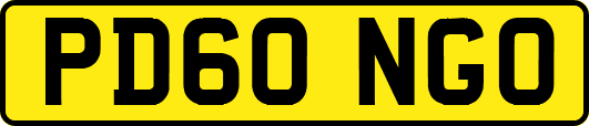 PD60NGO