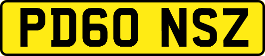 PD60NSZ