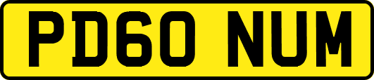 PD60NUM