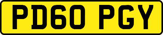 PD60PGY
