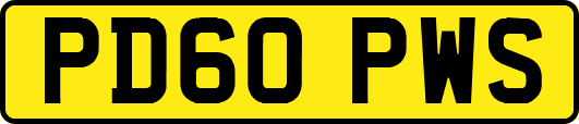PD60PWS