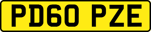 PD60PZE