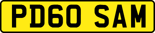 PD60SAM