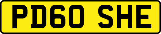 PD60SHE