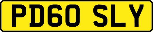 PD60SLY