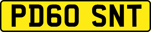 PD60SNT