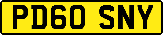 PD60SNY