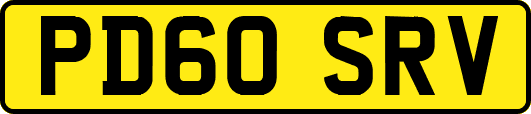 PD60SRV