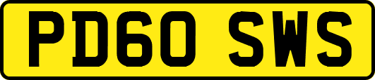 PD60SWS