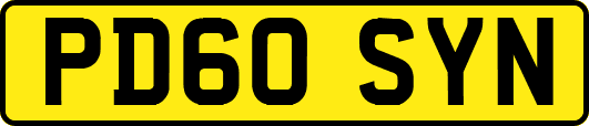 PD60SYN