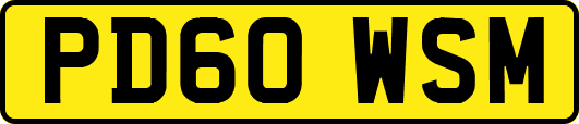 PD60WSM