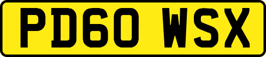 PD60WSX