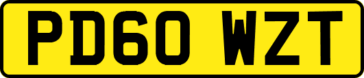PD60WZT
