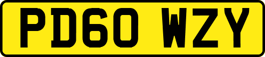 PD60WZY